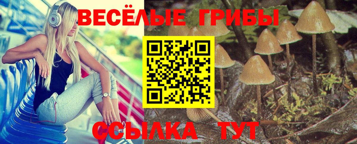 Псилоцибиновые грибы Cubensis  Галлюциногенные грибы мухоморы  Вход с VPN  Алейск 