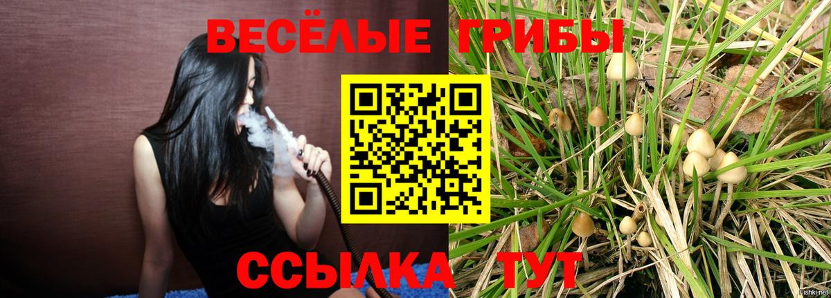 Псилоцибиновые грибы GOLDEN TEACHER Алейск