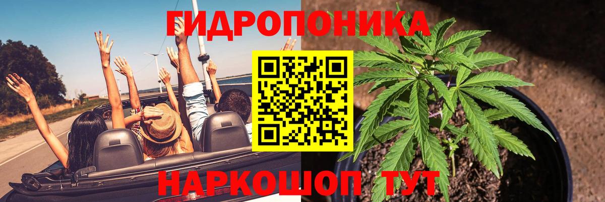 Бошки марихуана OG Kush Алейск